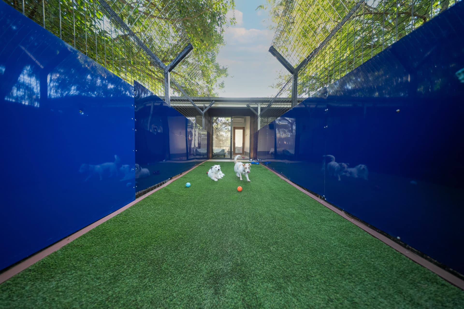 Luxury Villa image 5