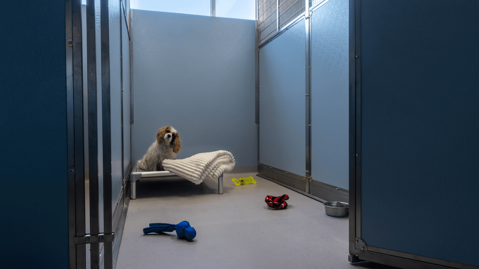 Classic Room image 1