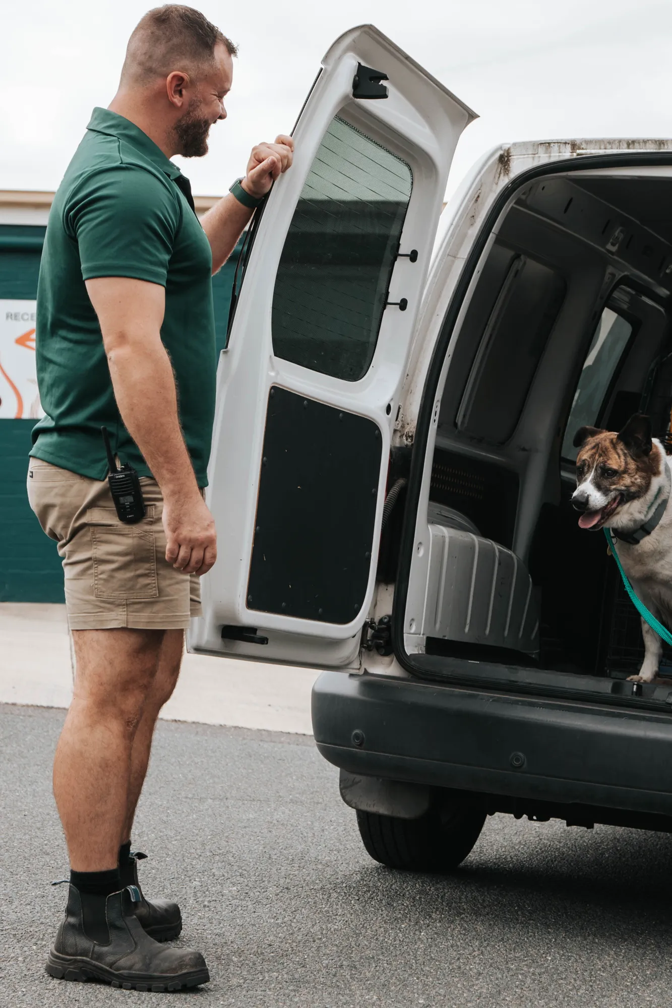 Pet Transport Brisbane