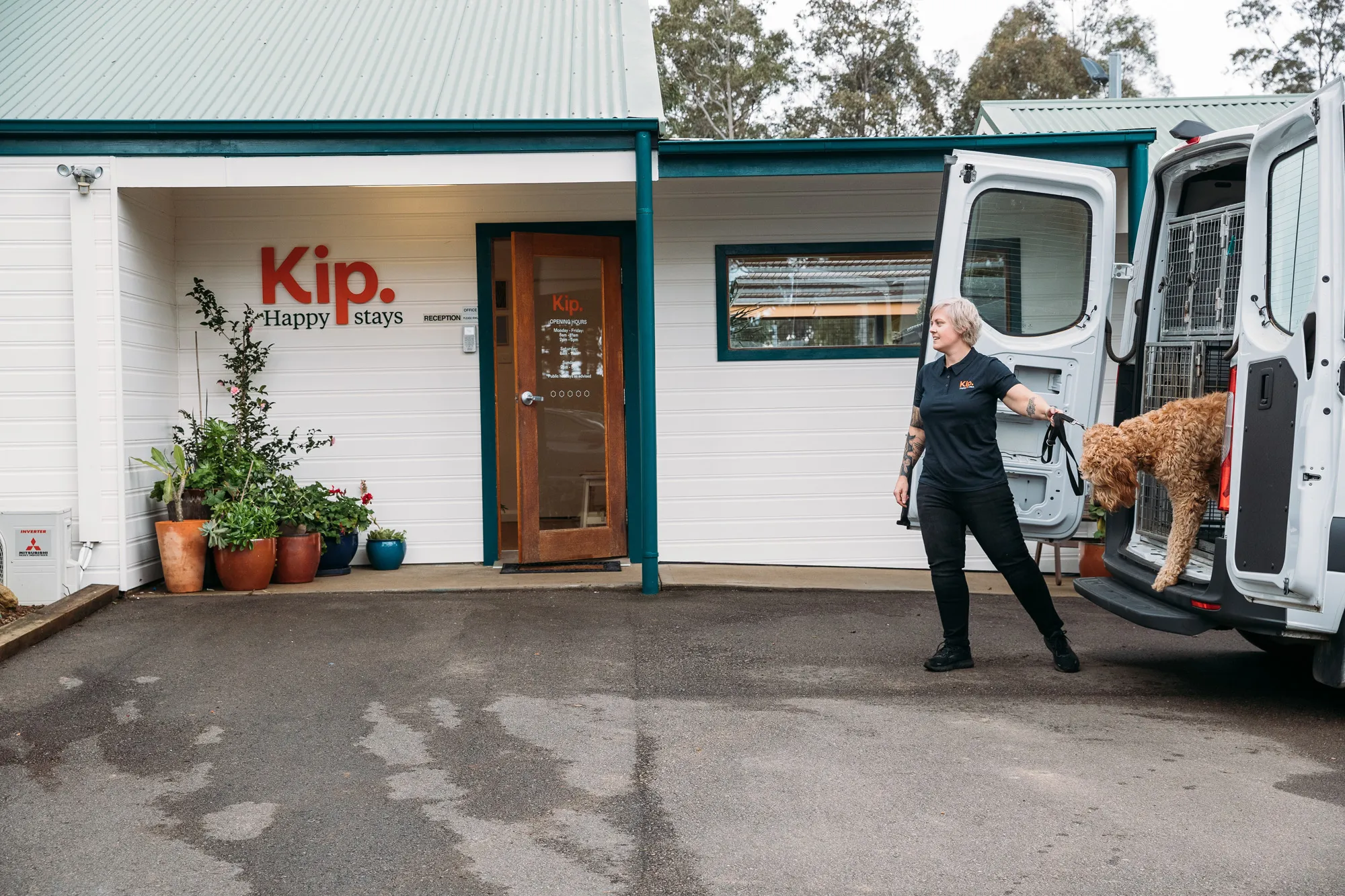 Pet Transport Sunshine Coast