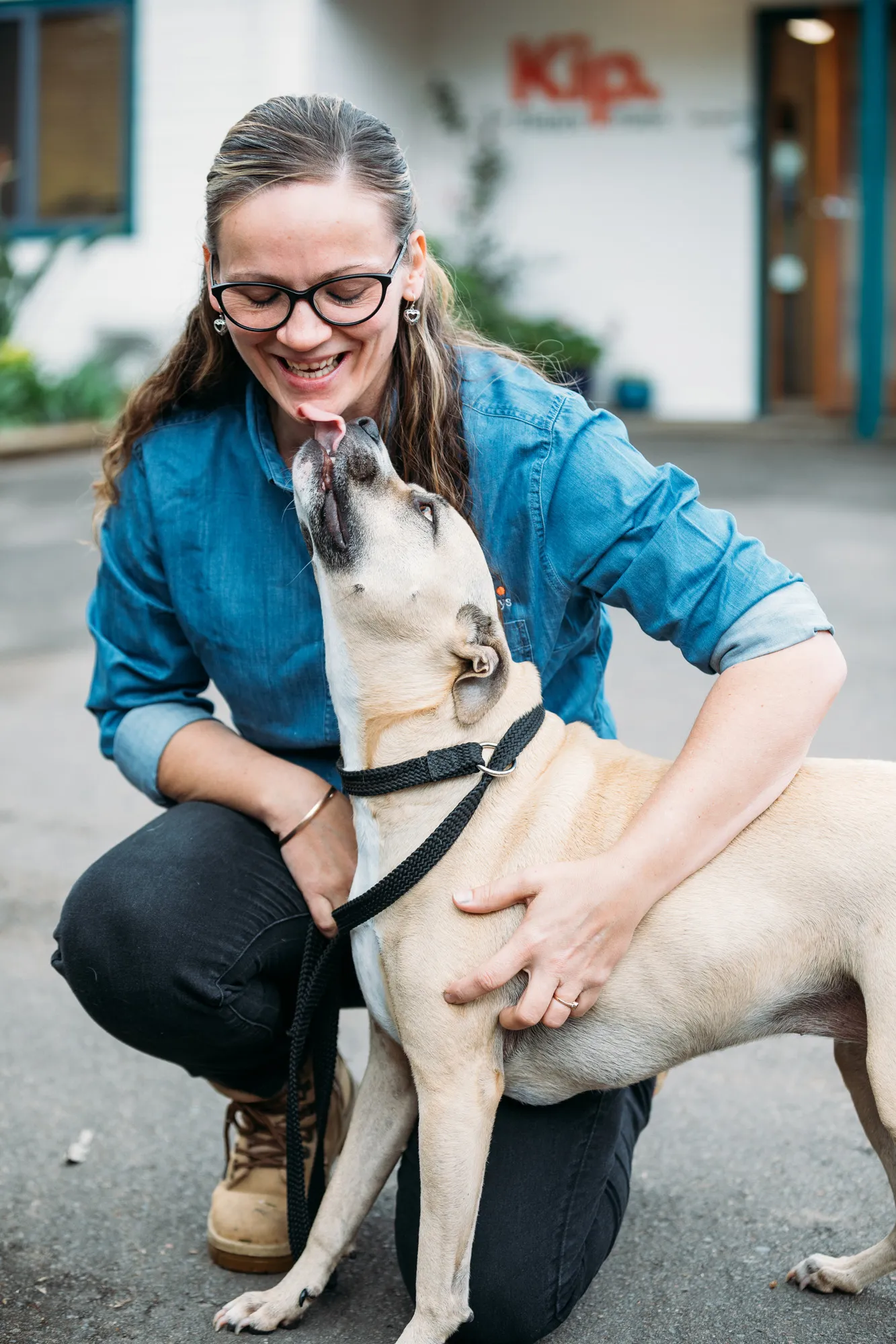 Dog Boarding Ipswich QLD