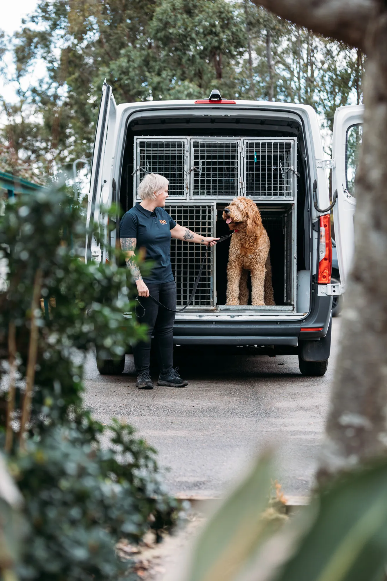 Pet Transport in Newcastle