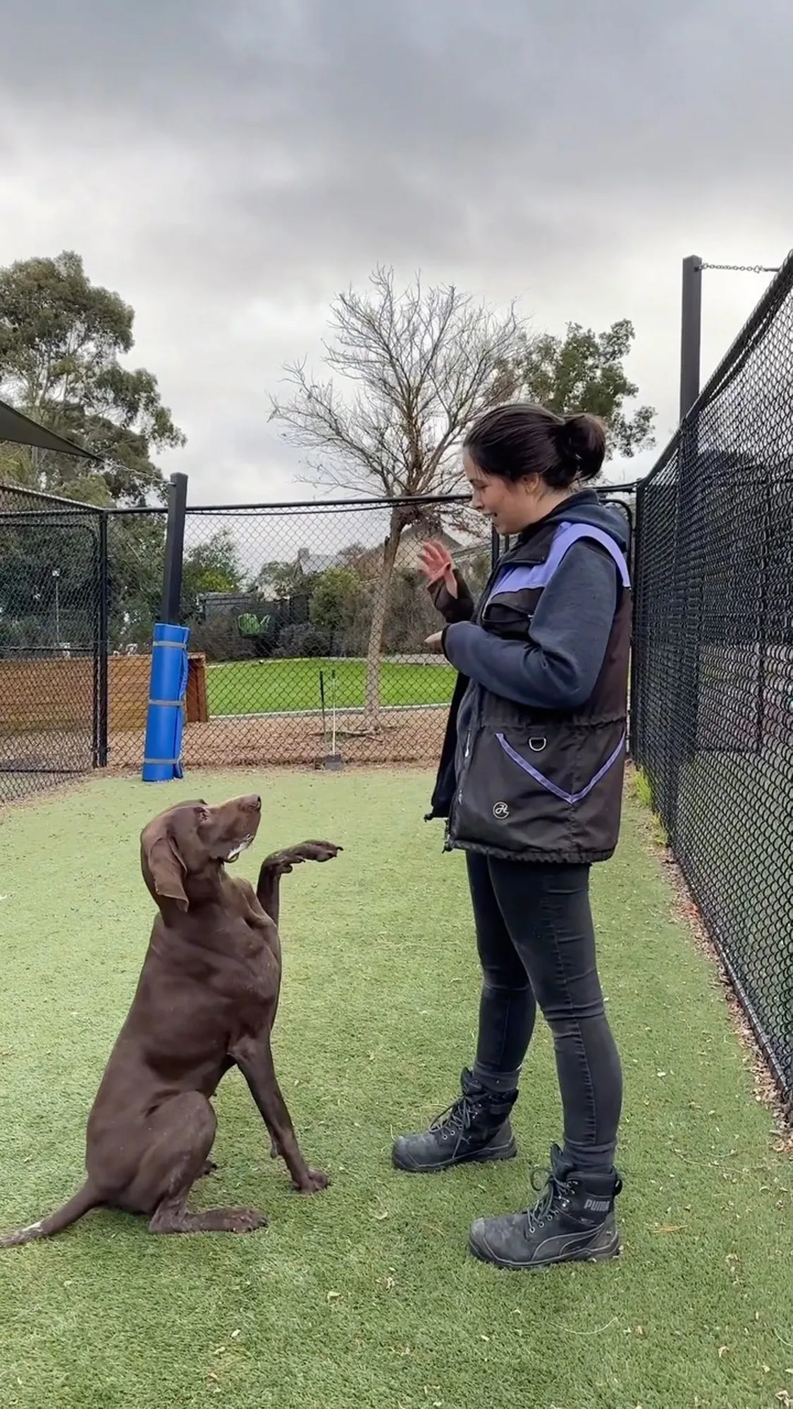 Dog Training Yarra Valley