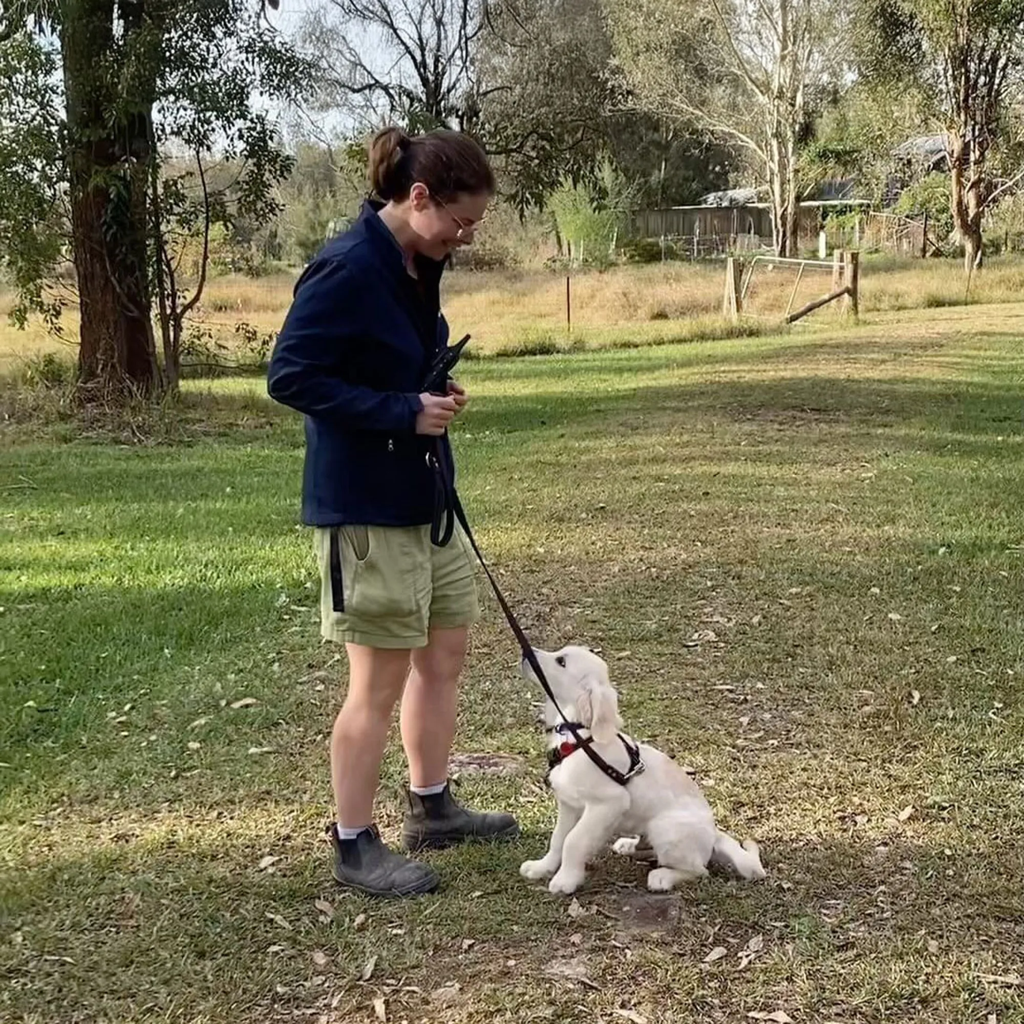 Dog Training in the Central Coast