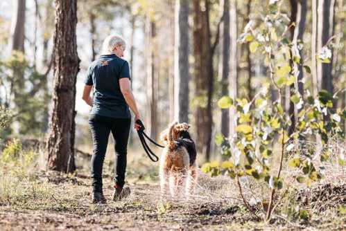 At Kip, we're reinventing dog boarding Australia-wide