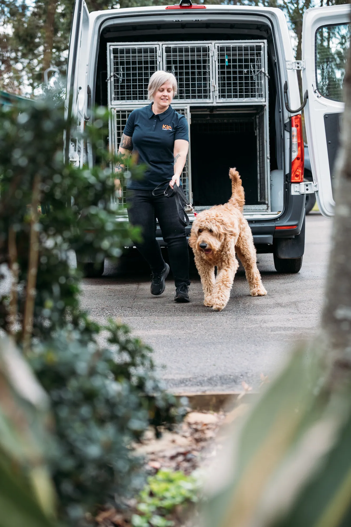 Pet Transport Hunter Region